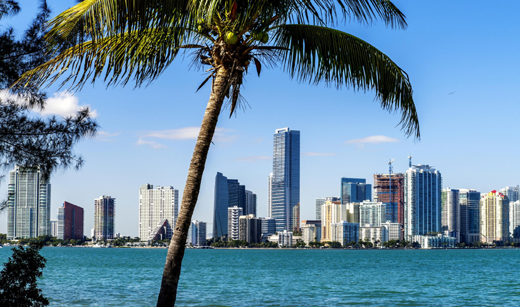 Miami International Boat Show -